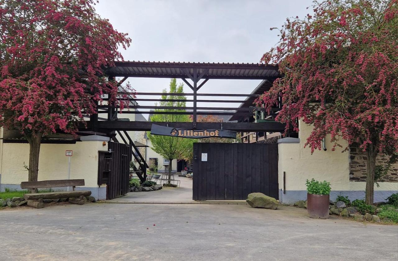 Besondere Ferienwohnung Spirit Auf Idyllischem Reiterhof Nahe Burg Eltz Munstermaifeld Exterior photo